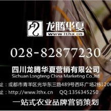 品牌策劃與網(wǎng)絡(luò)營(yíng)銷(xiāo) 從策略到執(zhí)行的全方位解析